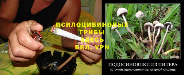 MESCALINE Заводоуковск