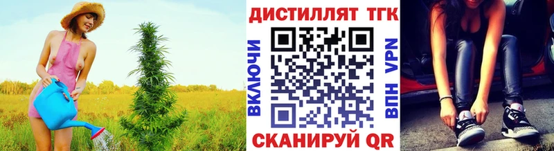 Купить  Торопец  Дистиллят ТГК вейп 