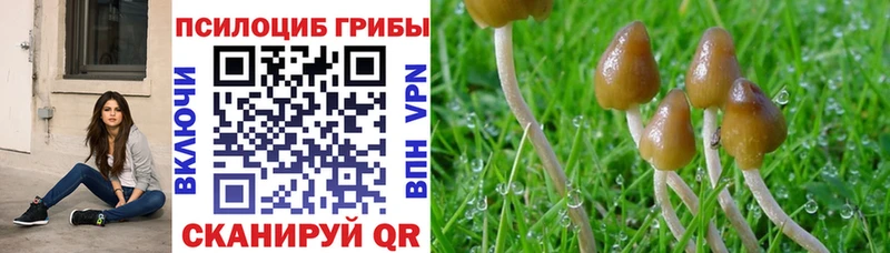 Псилоцибиновые грибы прущие грибы  Купить закладки  Торопец 